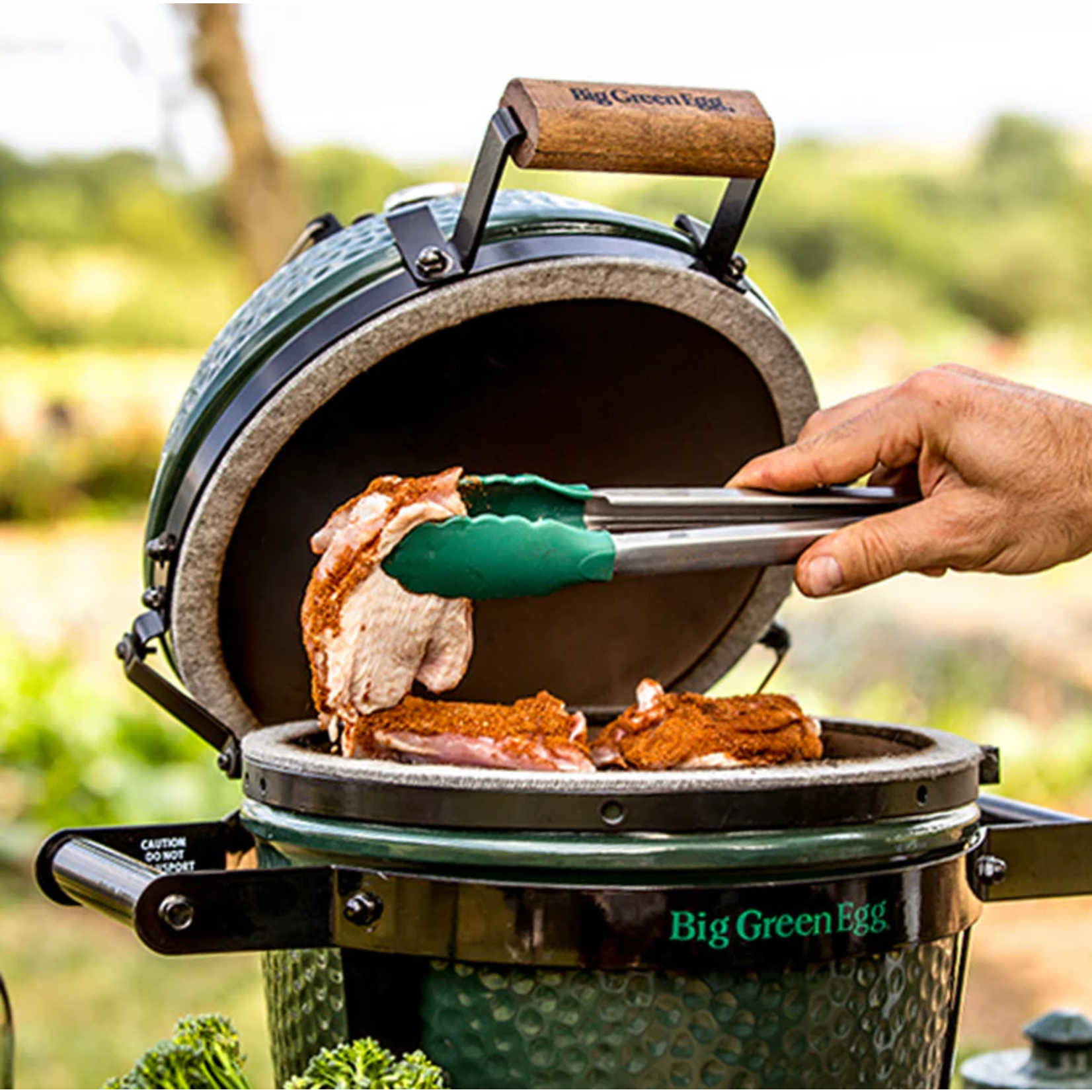 Big Green Egg BGE EGG w/Carrier Package - Mini MN