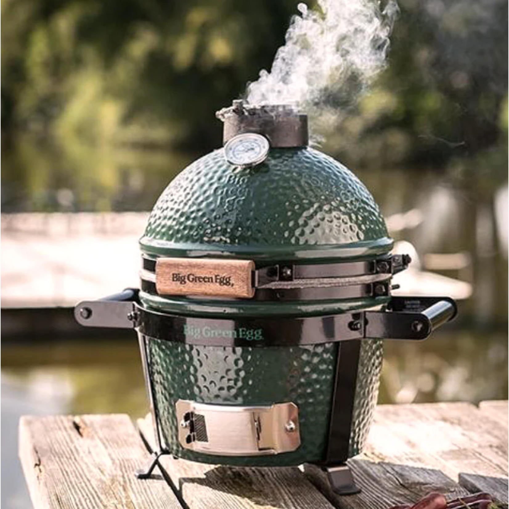 Big Green Egg BGE EGG w/Carrier Package - Mini MN