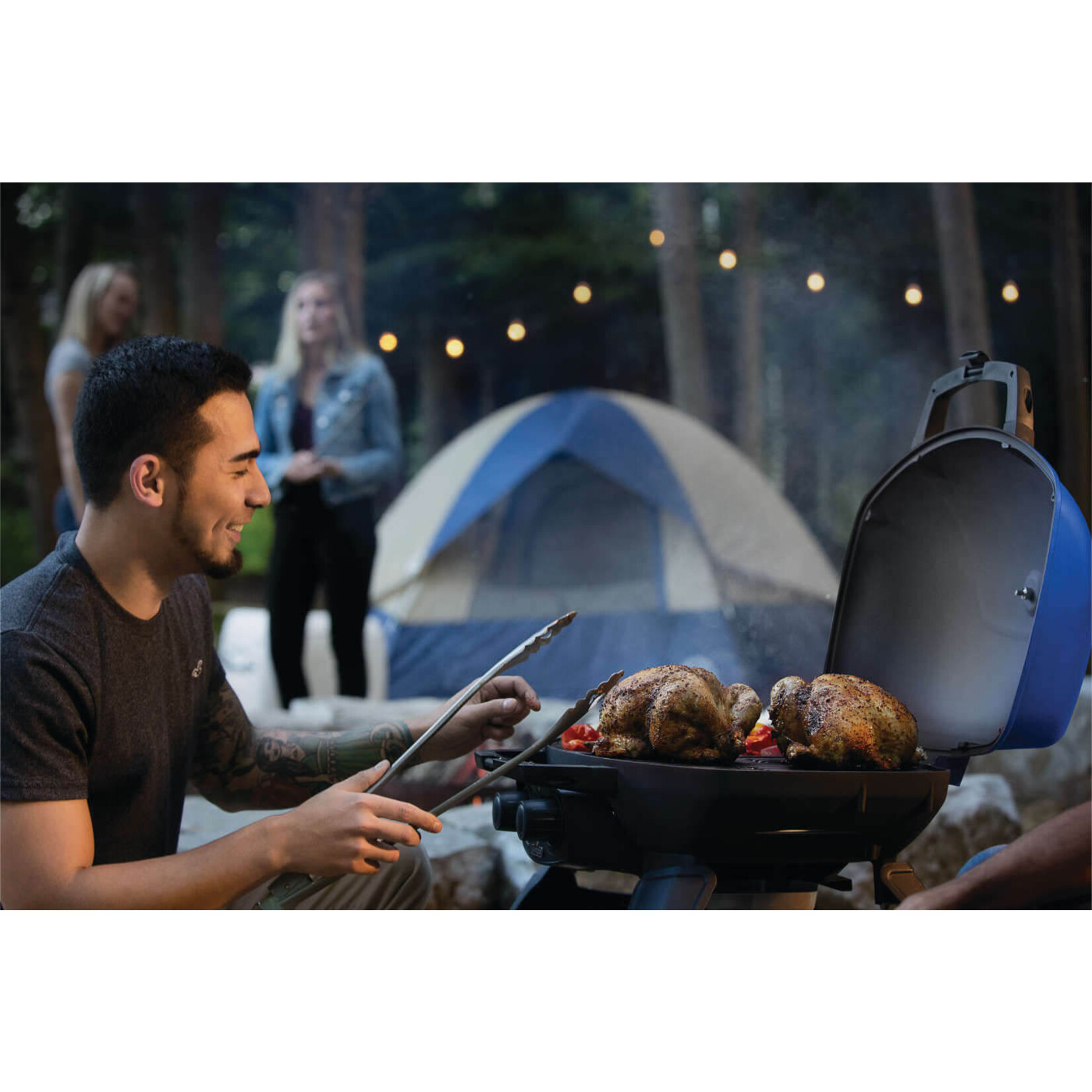 Napoleon Napoleon TravelQ 285 (Blue)