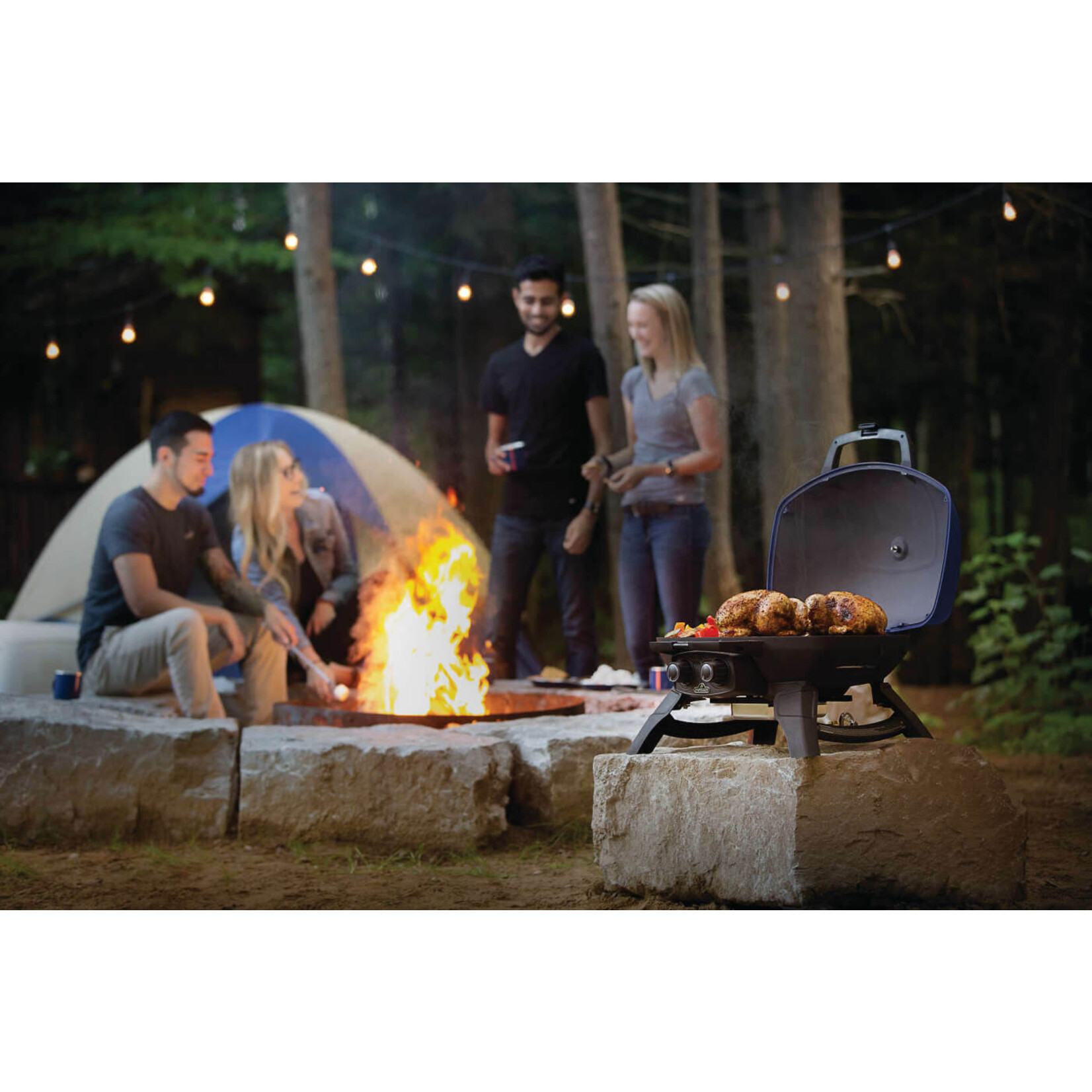 Napoleon Napoleon TravelQ 285 (Blue)