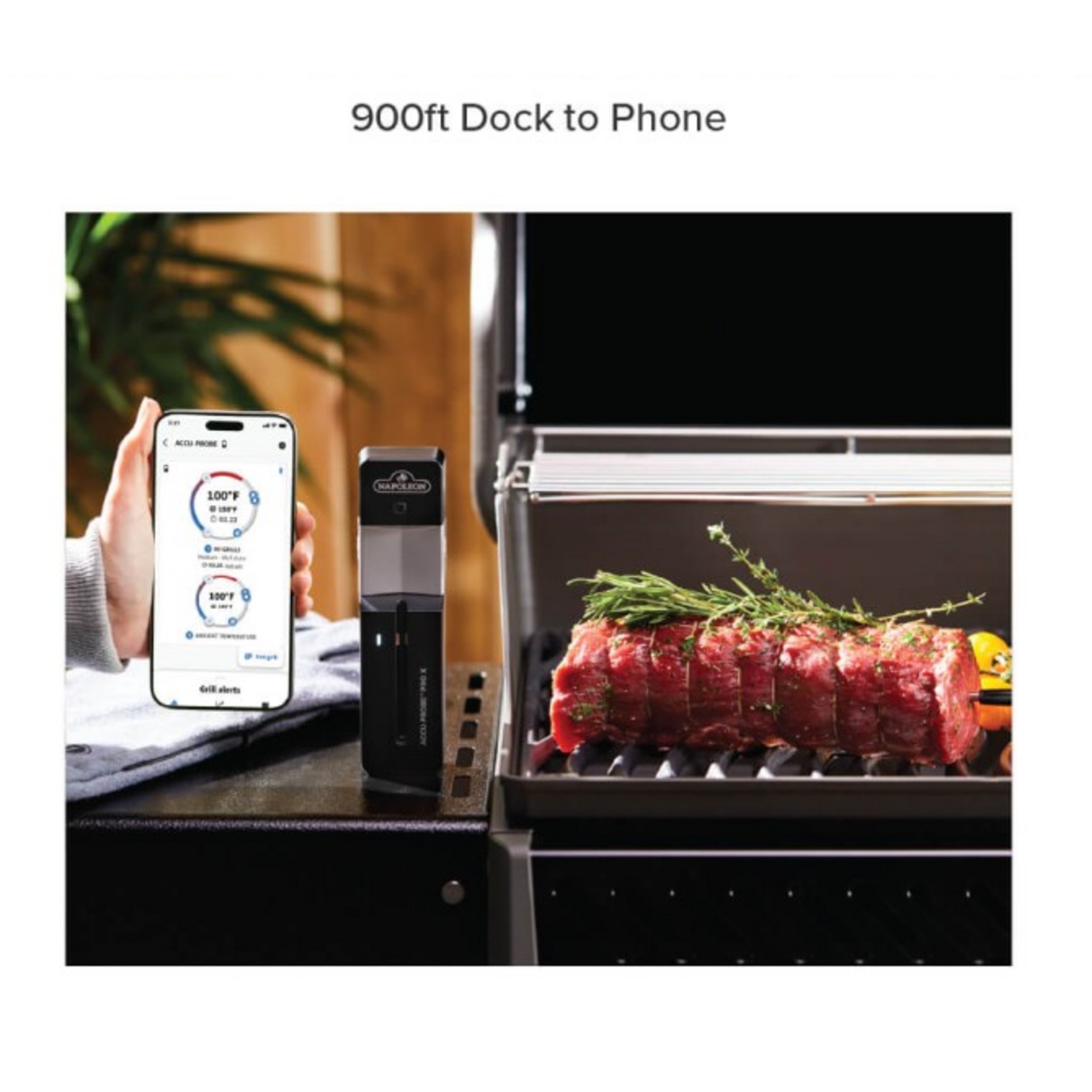 Napoleon Napoleon ACCU-PROBE ProX: Wireless Bluetooth Smart Thermometer