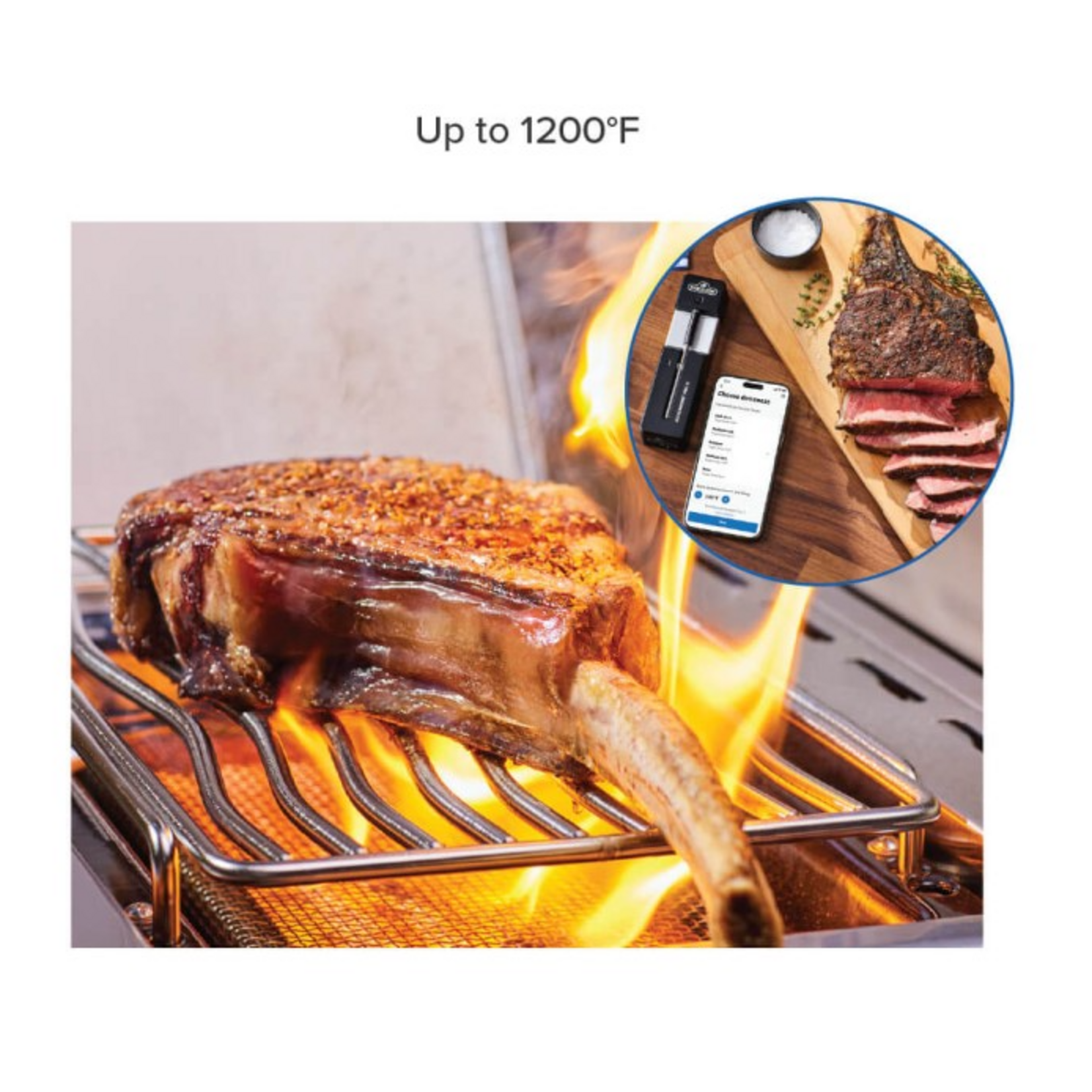 Napoleon Napoleon ACCU-PROBE ProX: Wireless Bluetooth Smart Thermometer