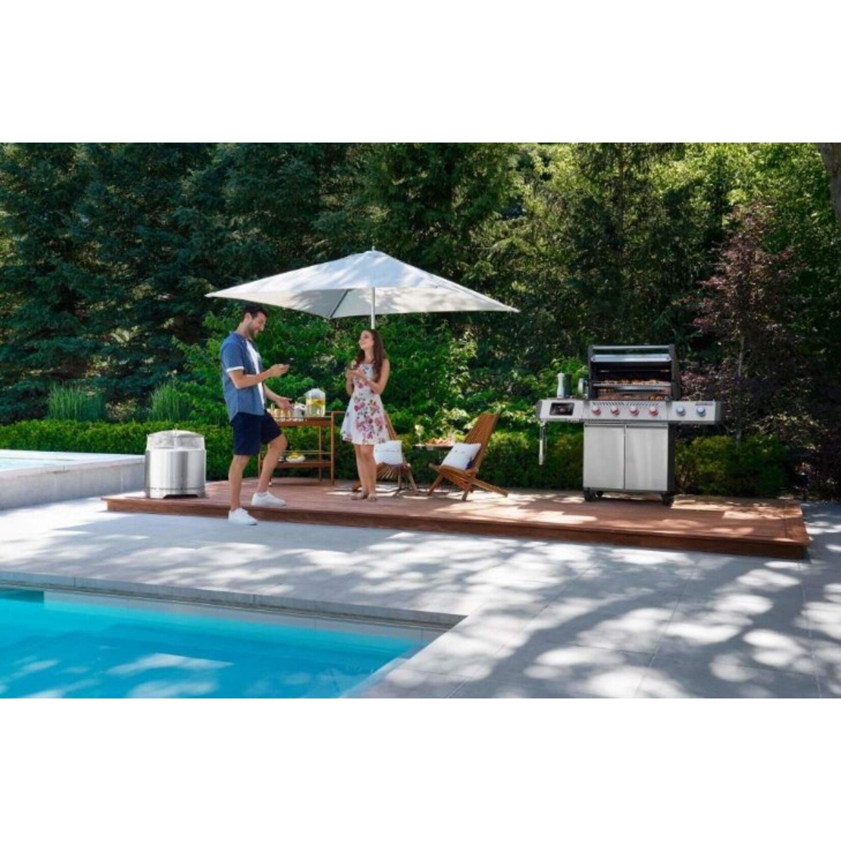 Napoleon Napoleon Prestige Evolution Pro 500 - LP