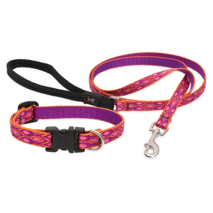 Lupine leashes clearance near me
