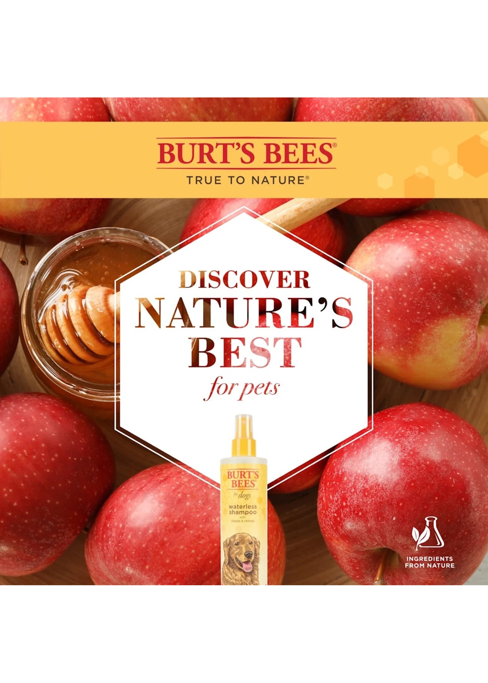 Burt's Bees Apple & Honey Waterless Shampoo 10 oz