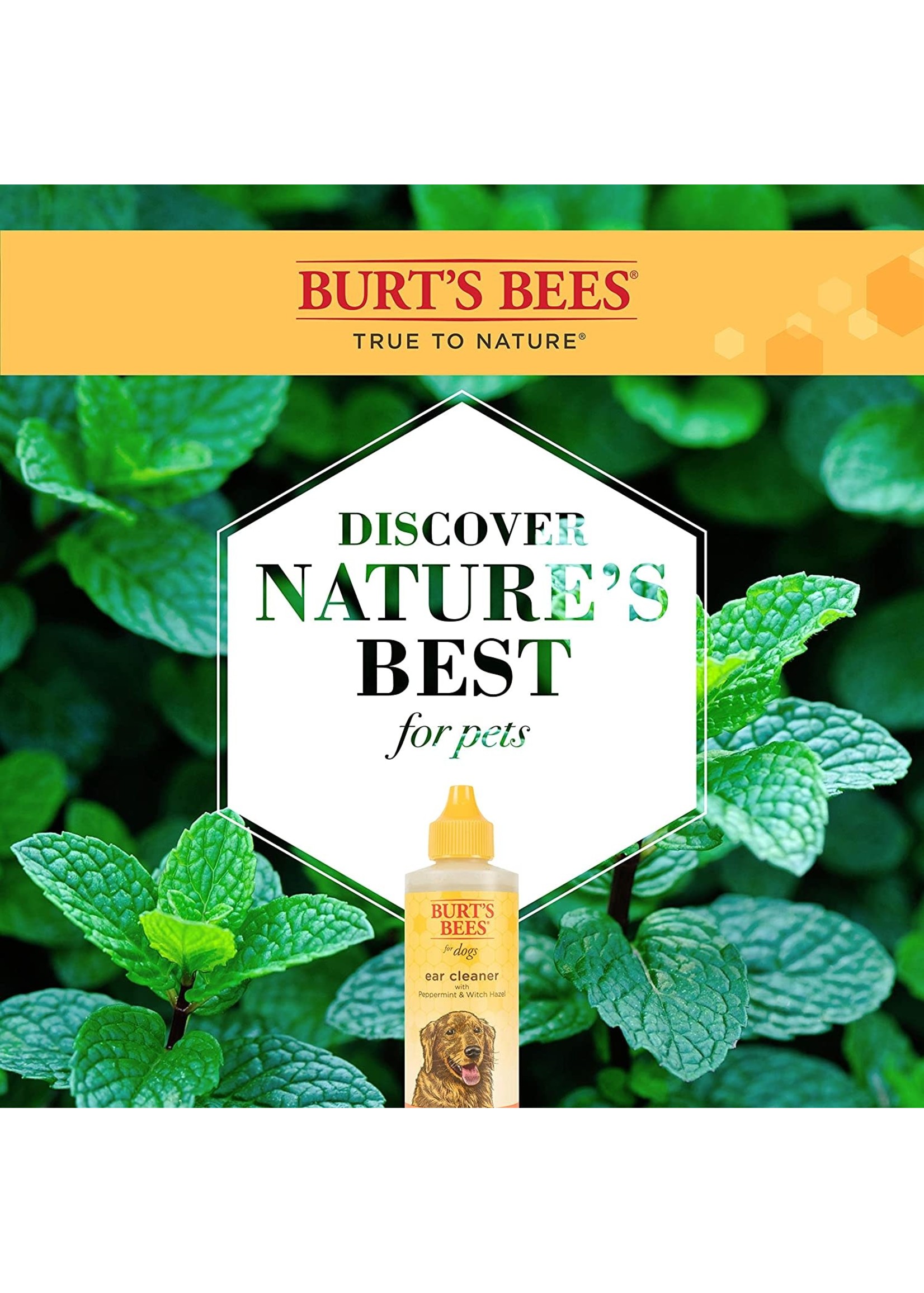 Burt's Bees For Dogs Natural Ear Cleaner with Peppermint and Witch Hazel