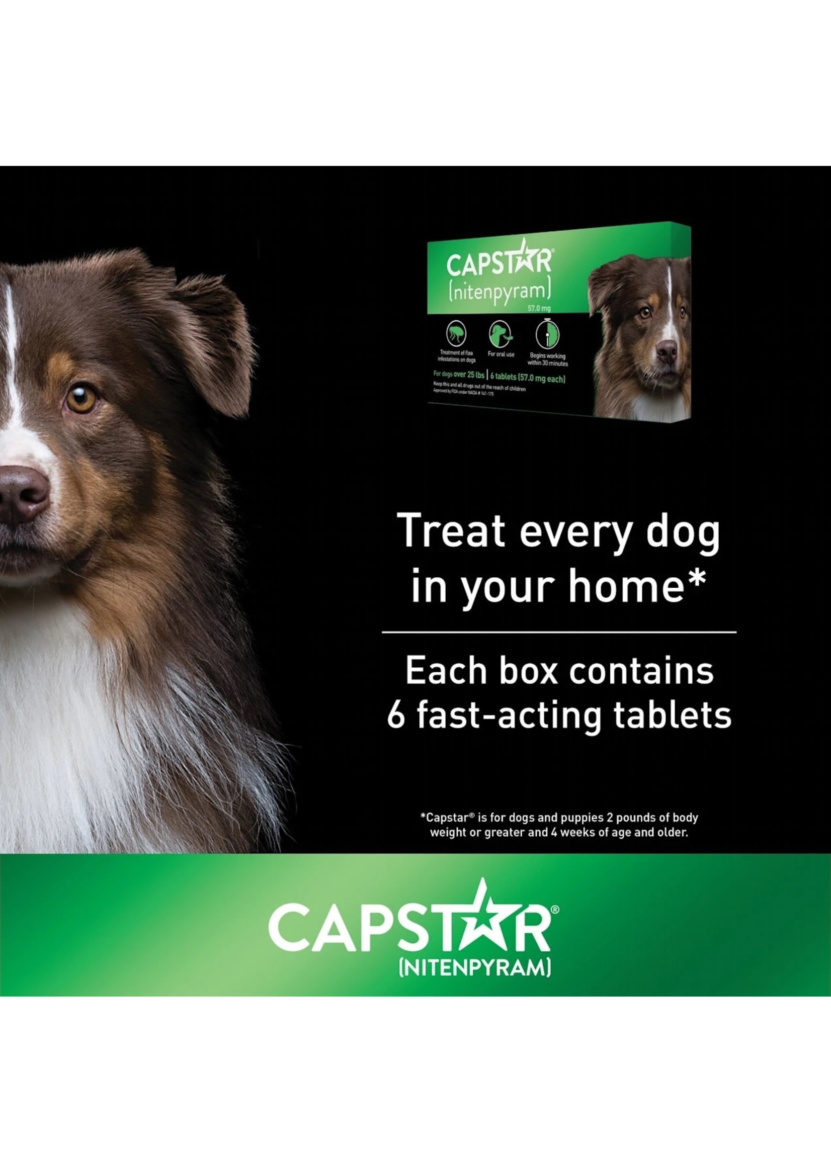 Elanco capstar top