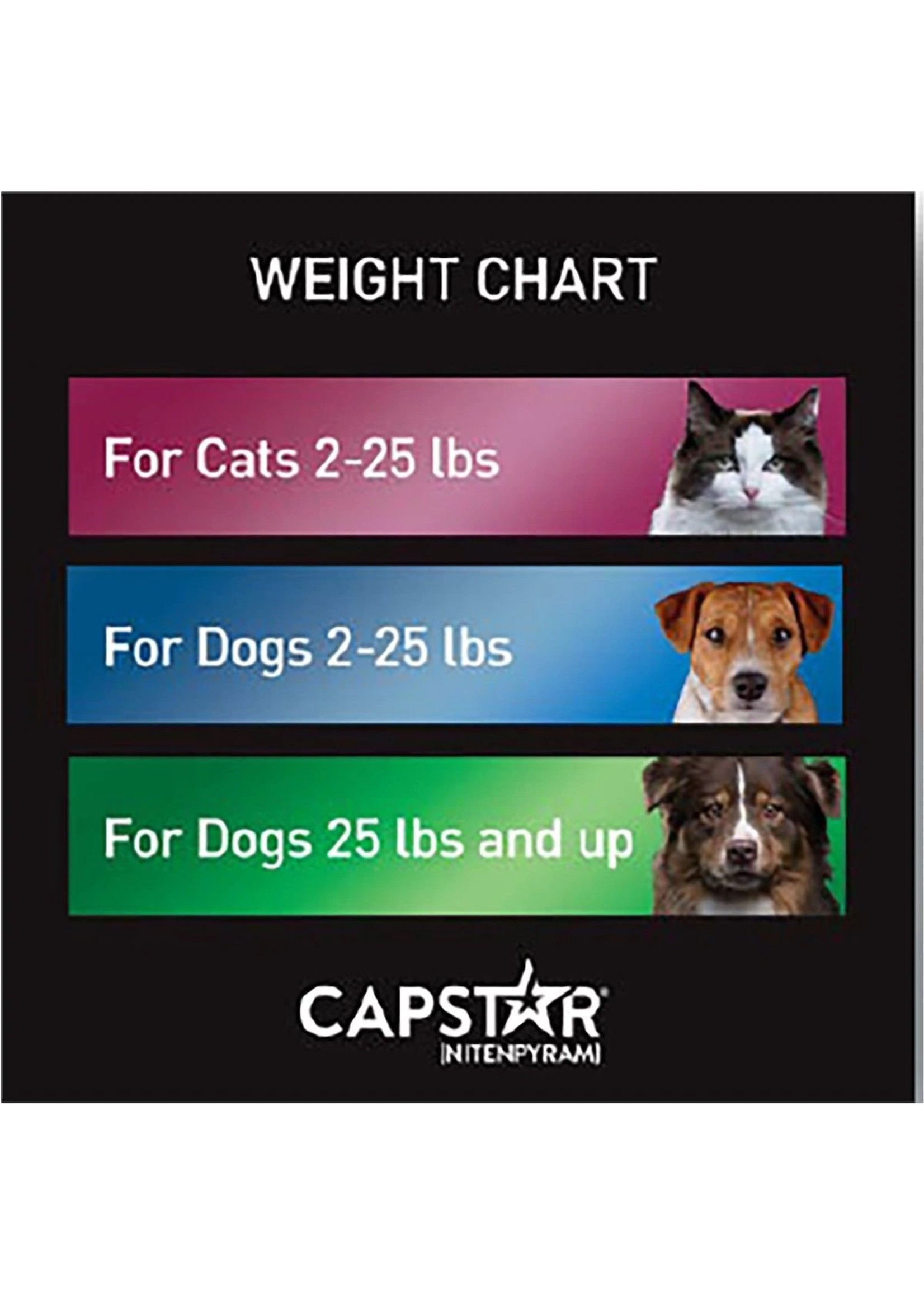 Elanco Capstar Flea Oral Treatment for Dogs, over 25 lbs