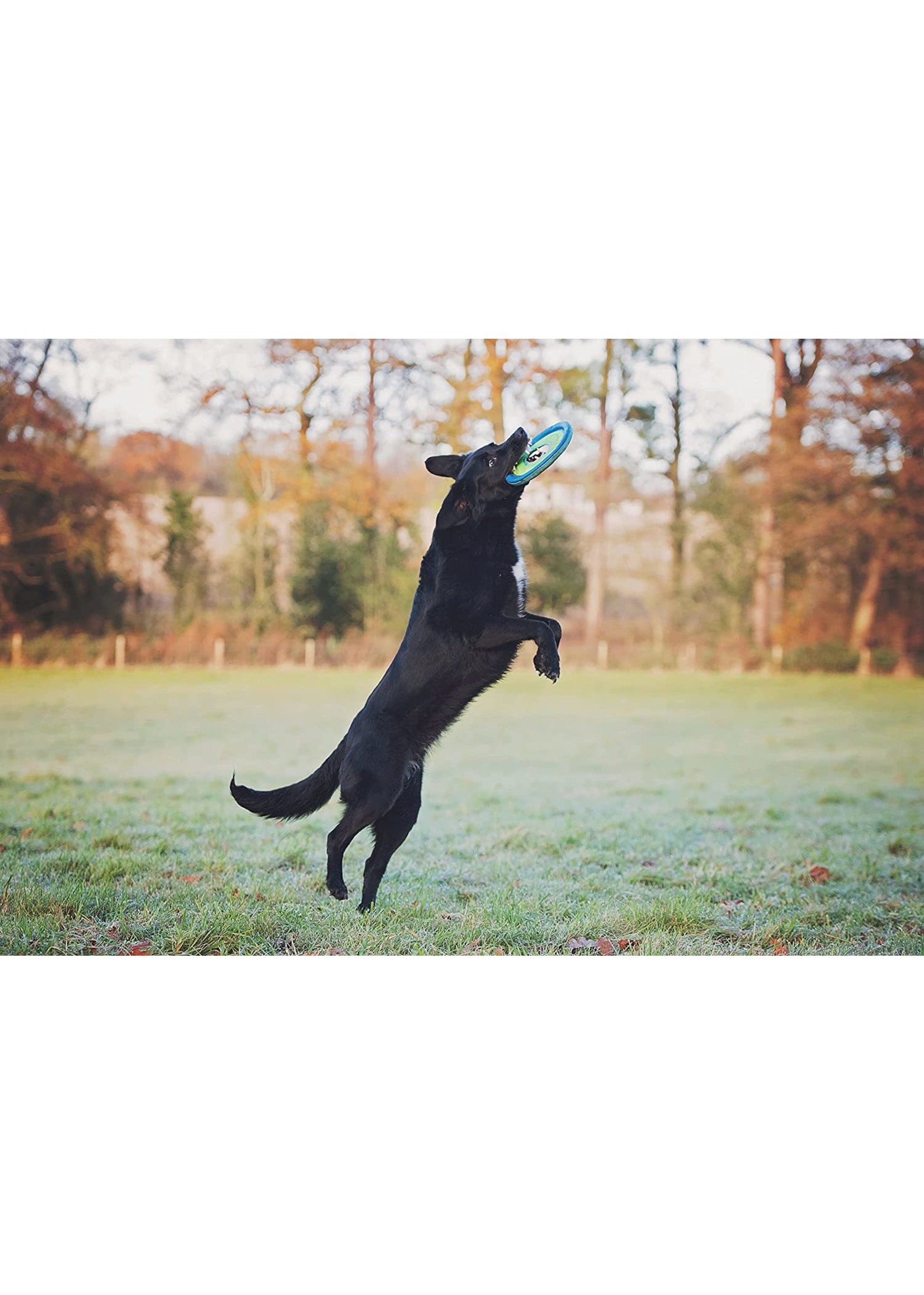 Chuckit Max Glow Zipflight Frisbee Medium Dog Toy