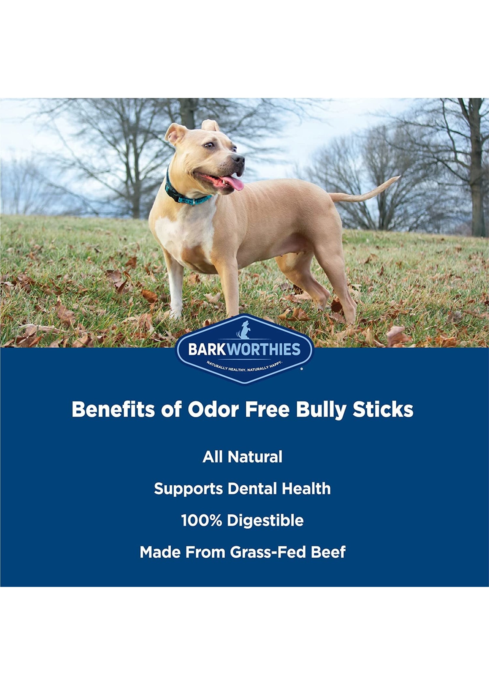 Barkworthies Odor Free Double Cut Bully Stick 12" Dog Chew Treat