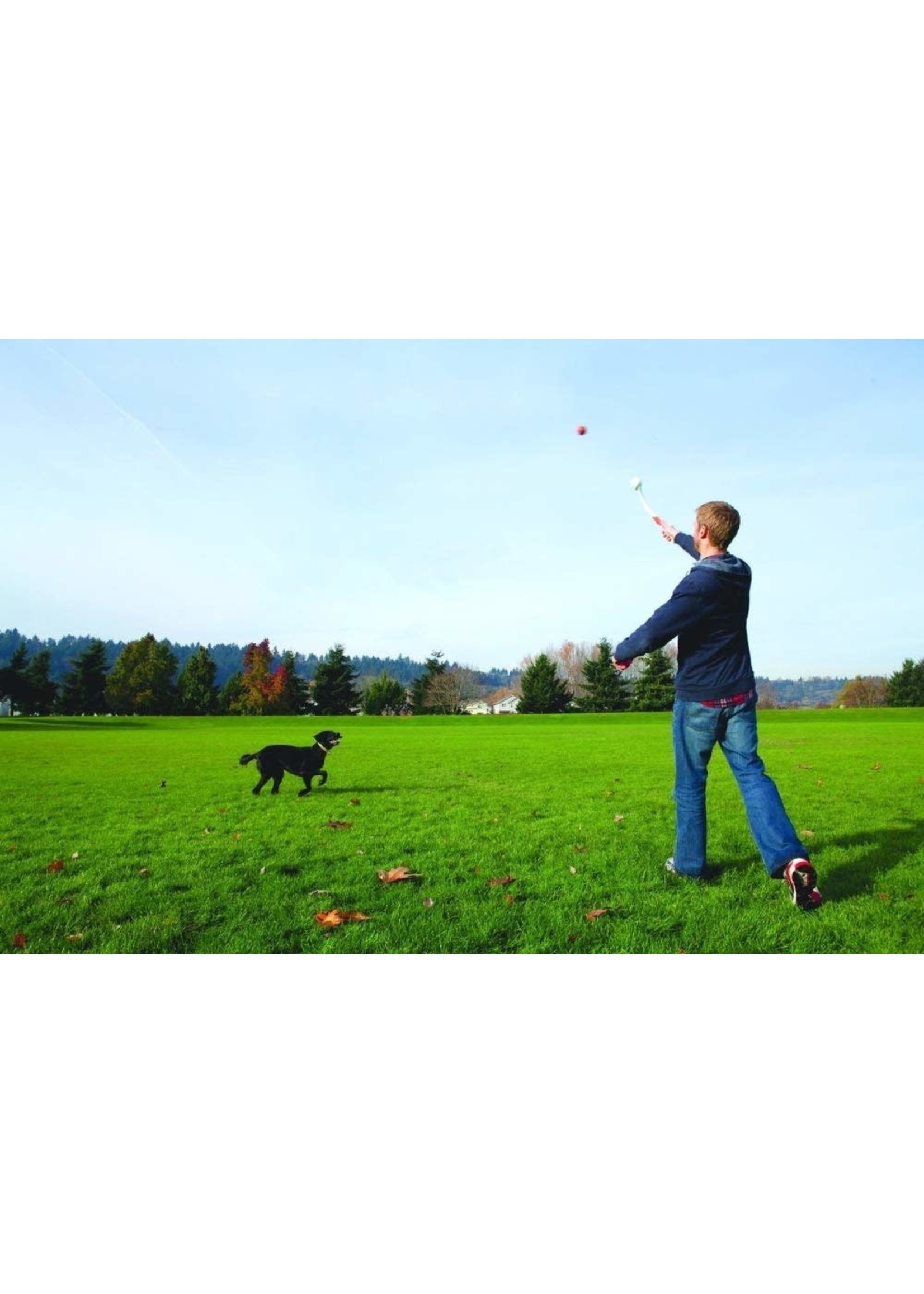 Chuckit whistler cheap ball medium