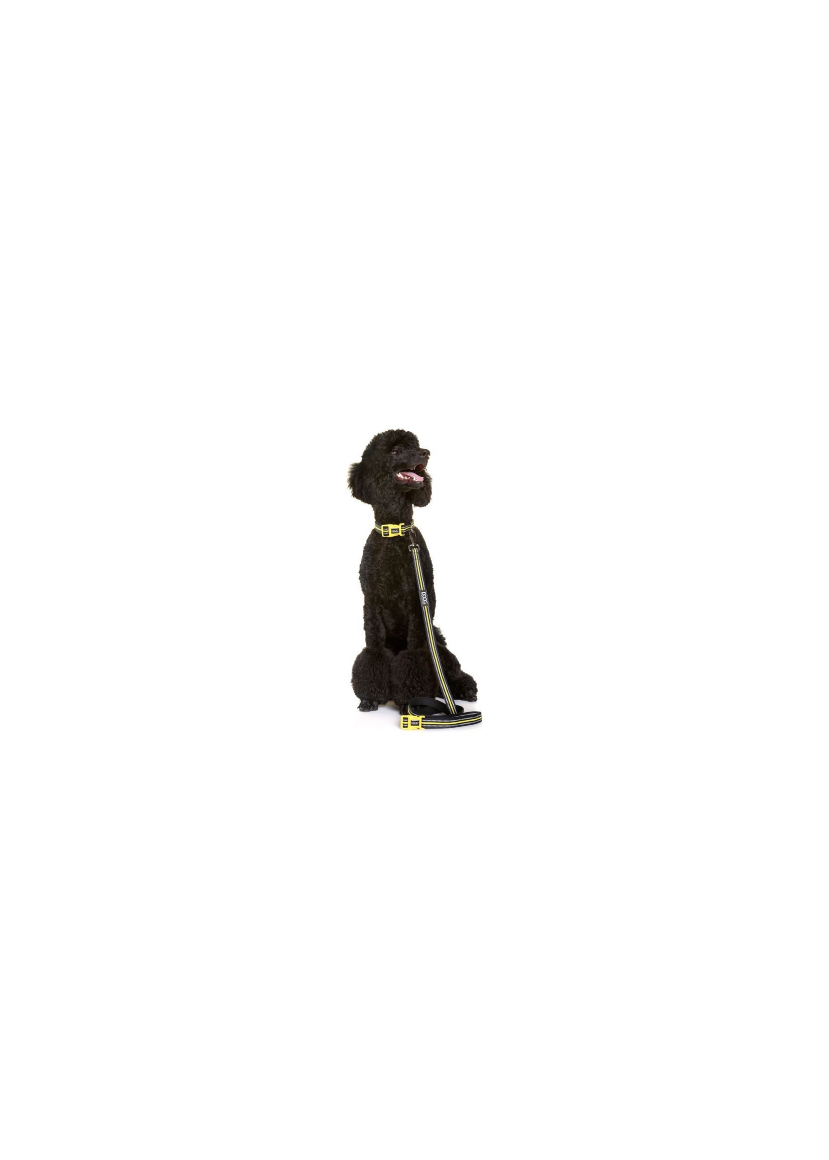DOOG Bolt Neoprene Black with Yellow Neon Trim High Visibility Dog Collar