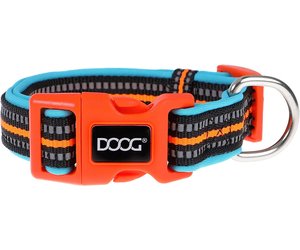 Neoprene Dog Collar - RIN TIN TIN (NEON) – DOOGUSA