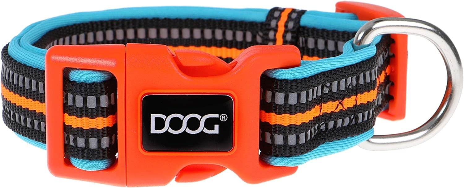 Neoprene Dog Collar - RIN TIN TIN (NEON) – DOOGUSA