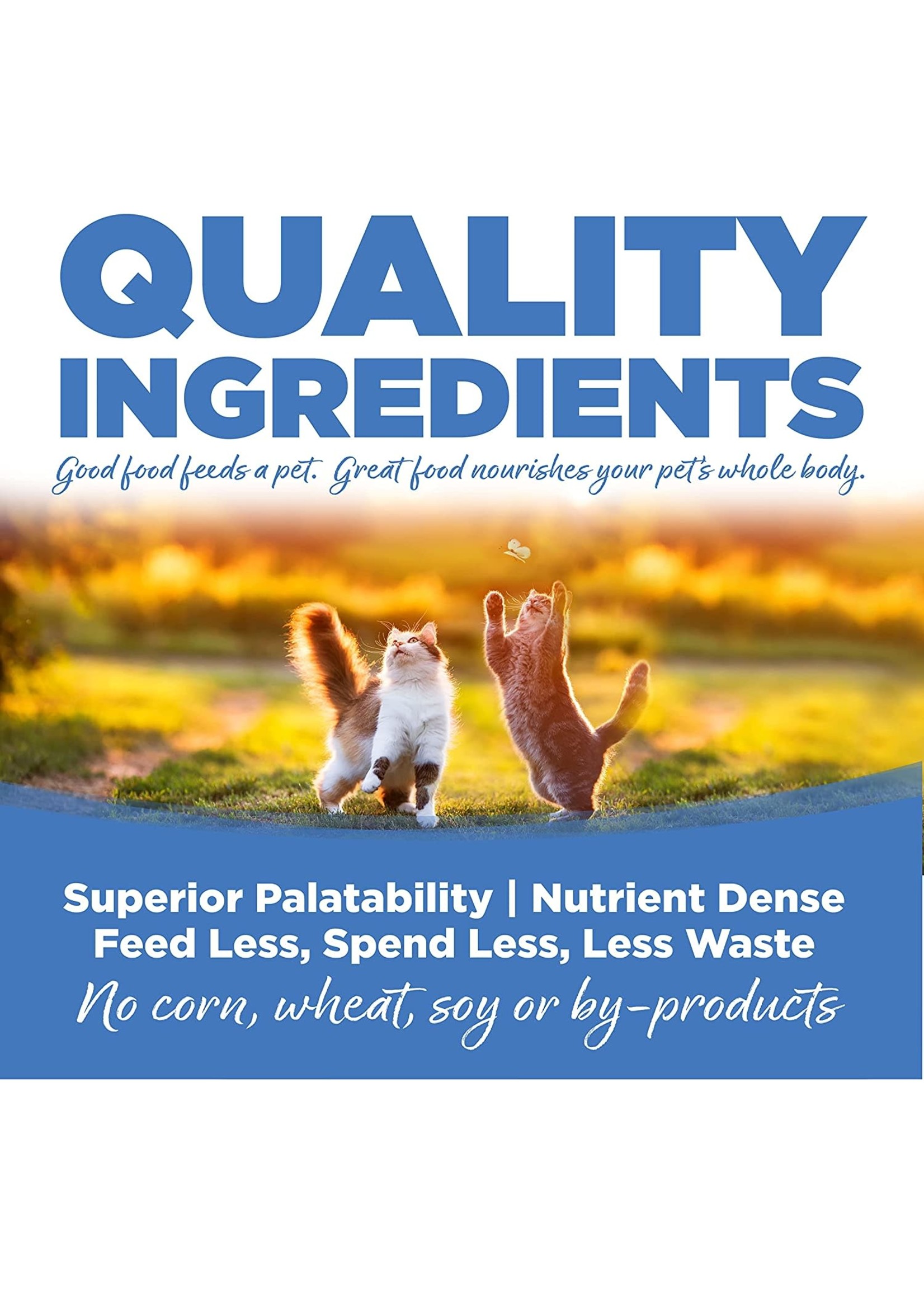 Nutrisource hot sale cat food