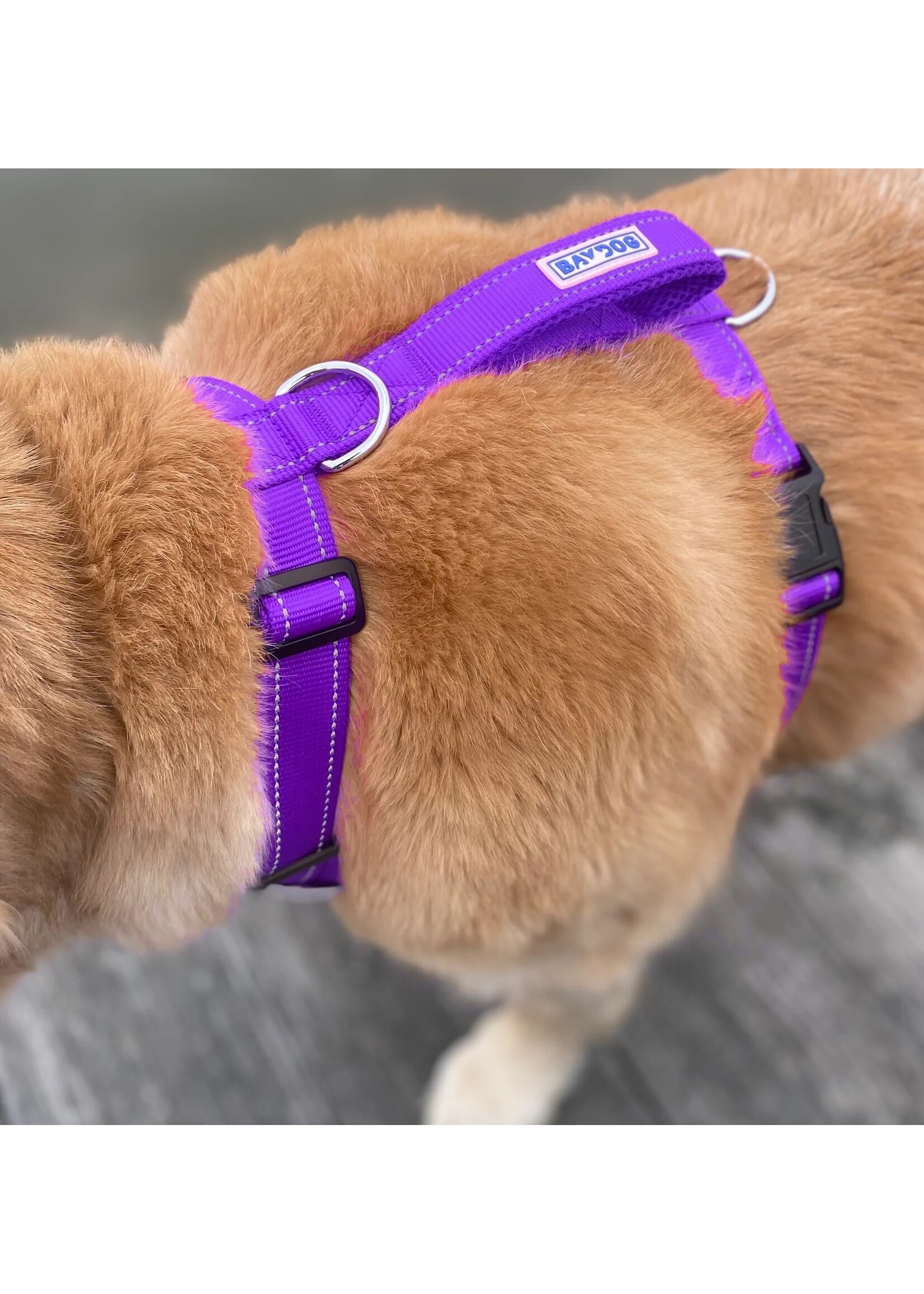 Baydog Chesapeake Dog Harness Purple Extra Large