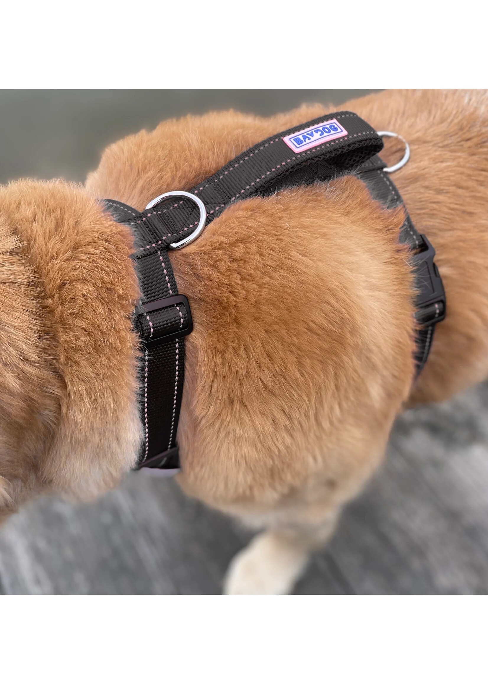 Baydog Chesapeake Dog Harness Camo Extra Large