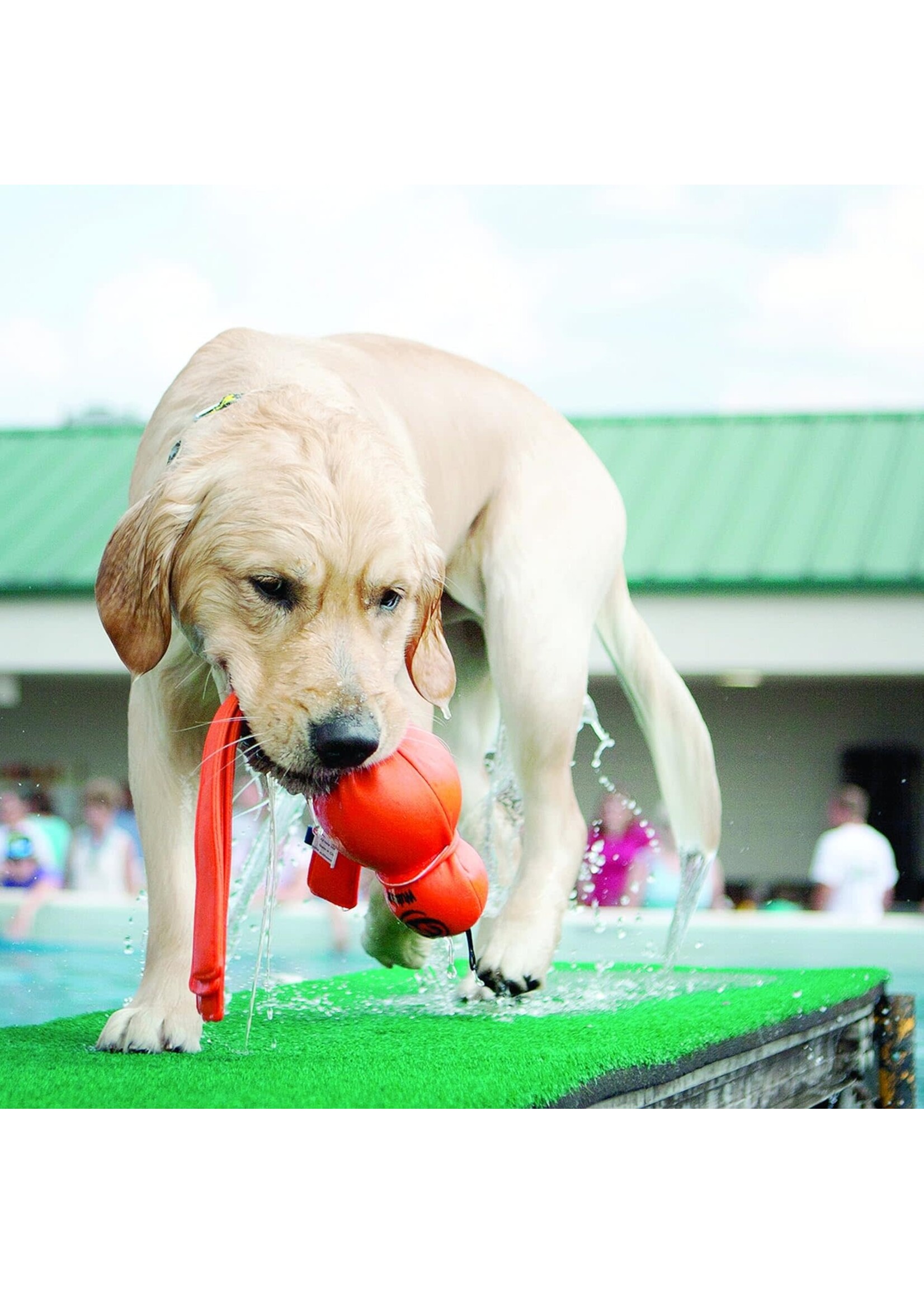 KONG Wobbler Dog Toy, Large 