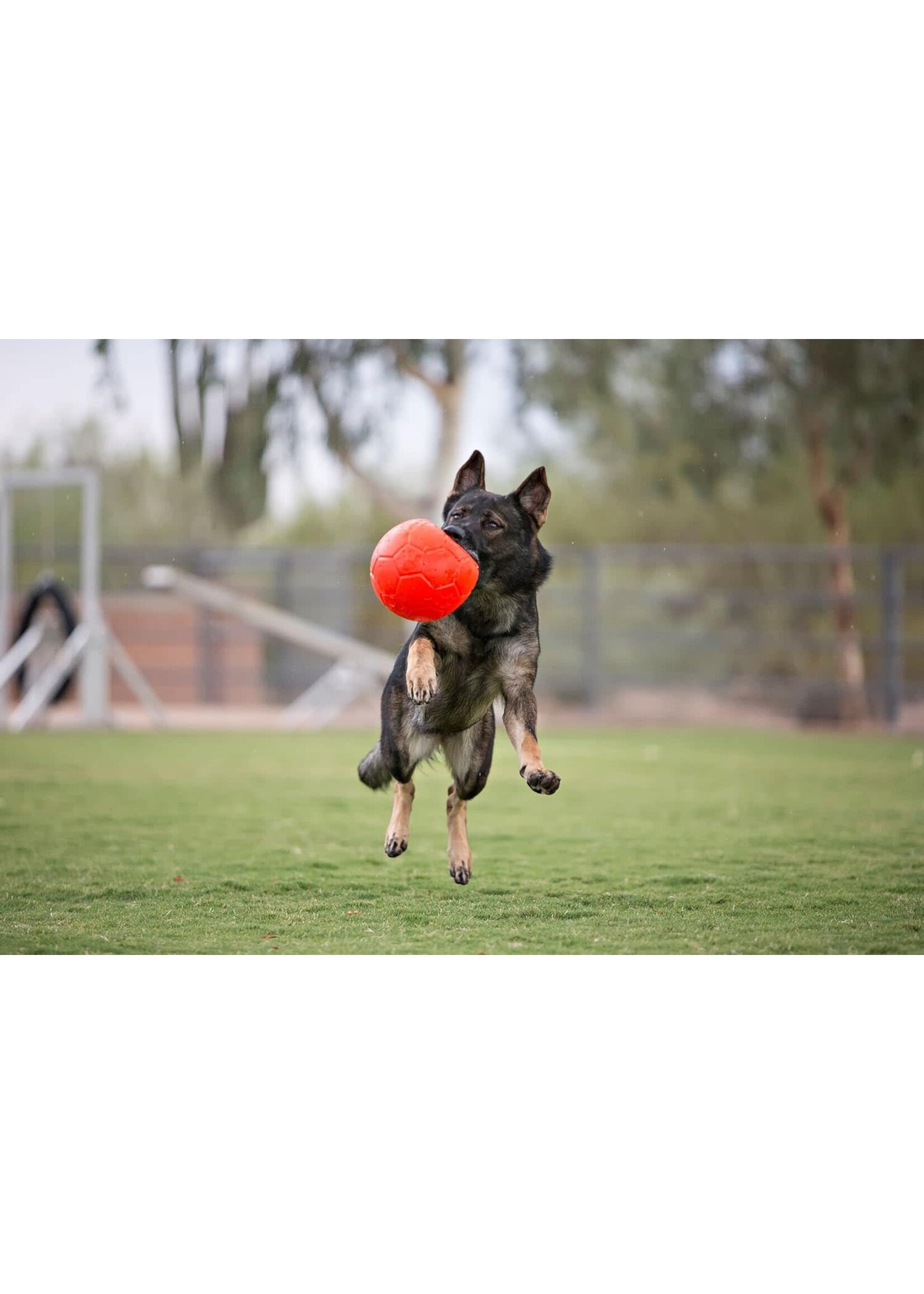 Jolly Pets Soccer Ball Large 8"