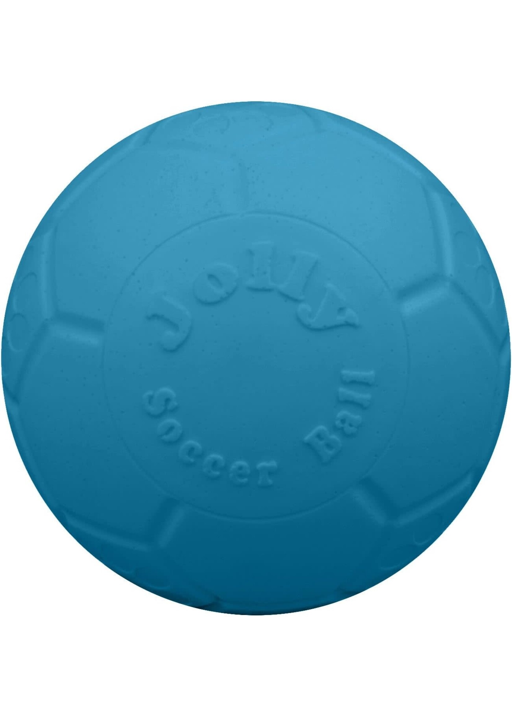 Large hard plastic top ball for dogs