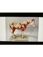 Trail of Painted Ponies TOPP 2005 Big Red 12215 1E 6615