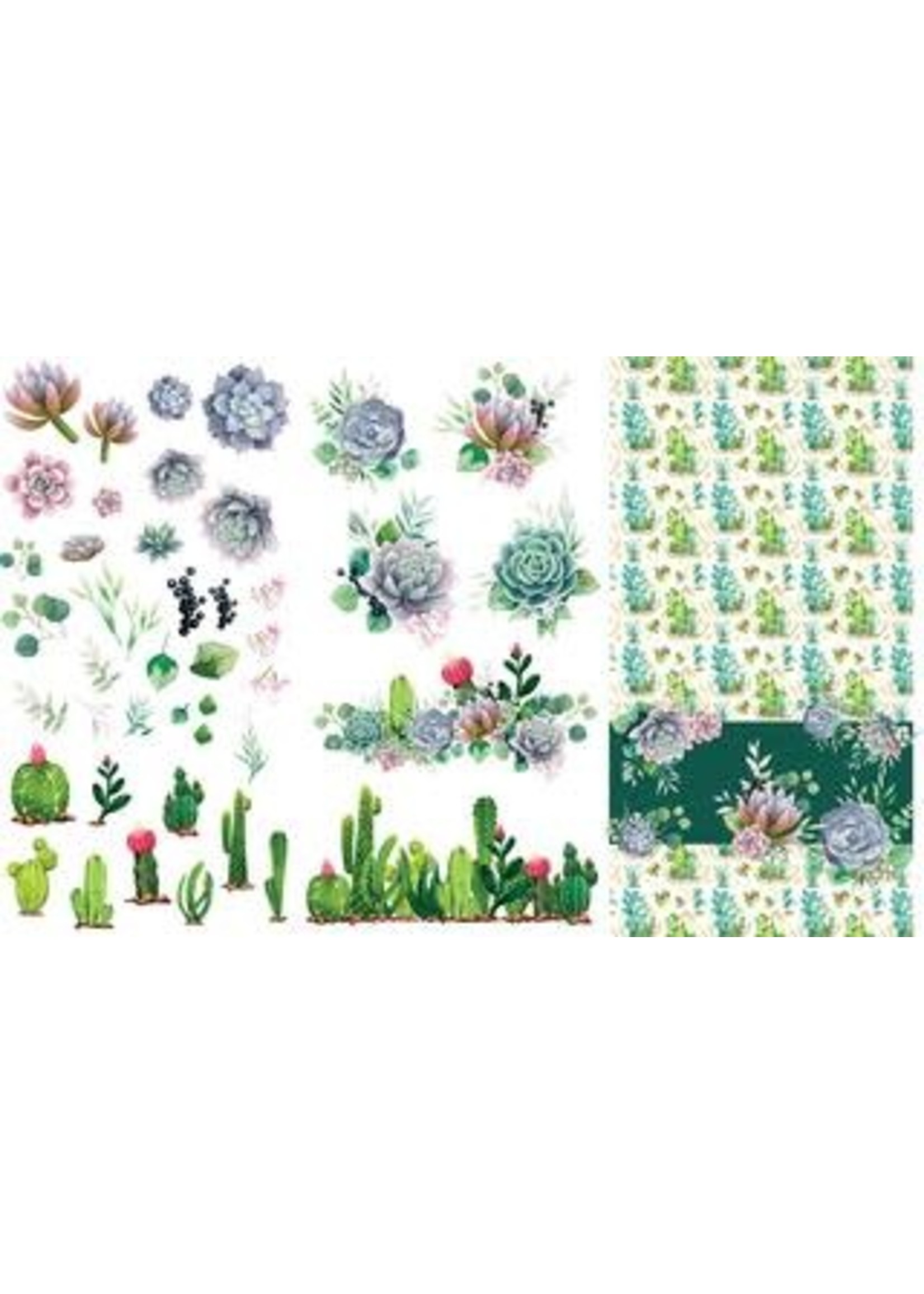Dixie Belle Decoupage & Stencils Cacti & Succulents