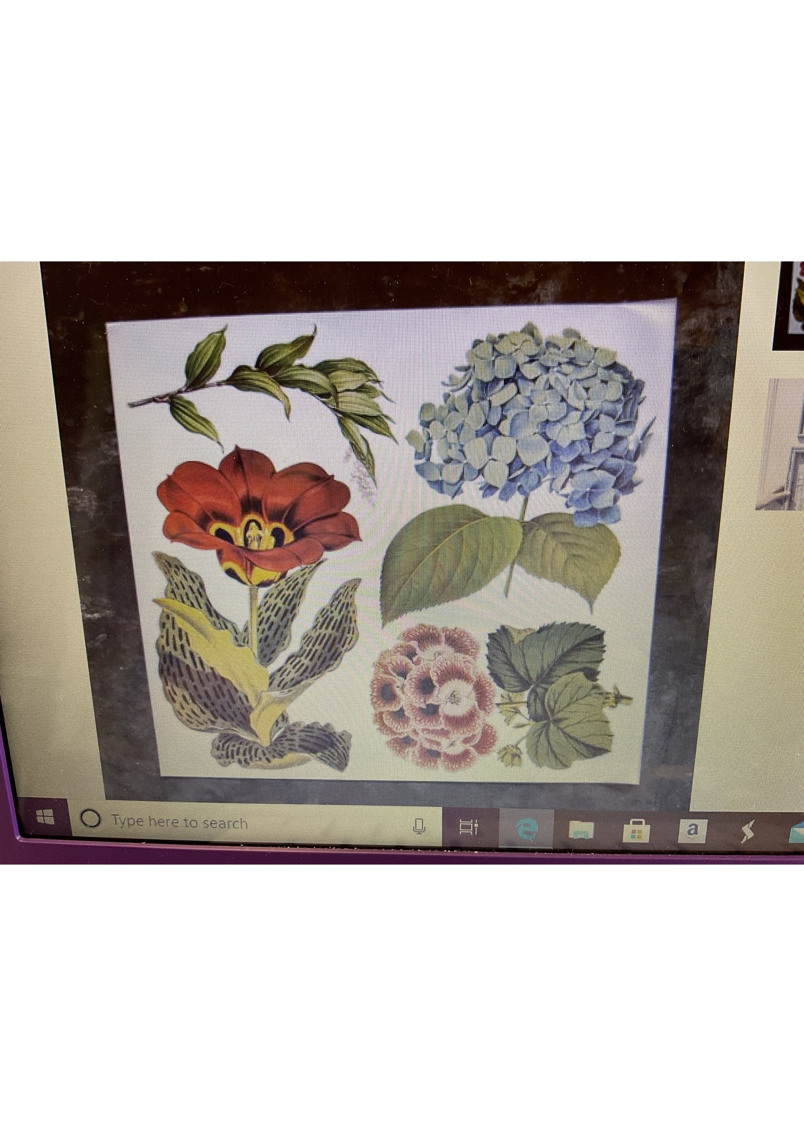 A Maker’s Studio Flowers hydrangea 24 x 22