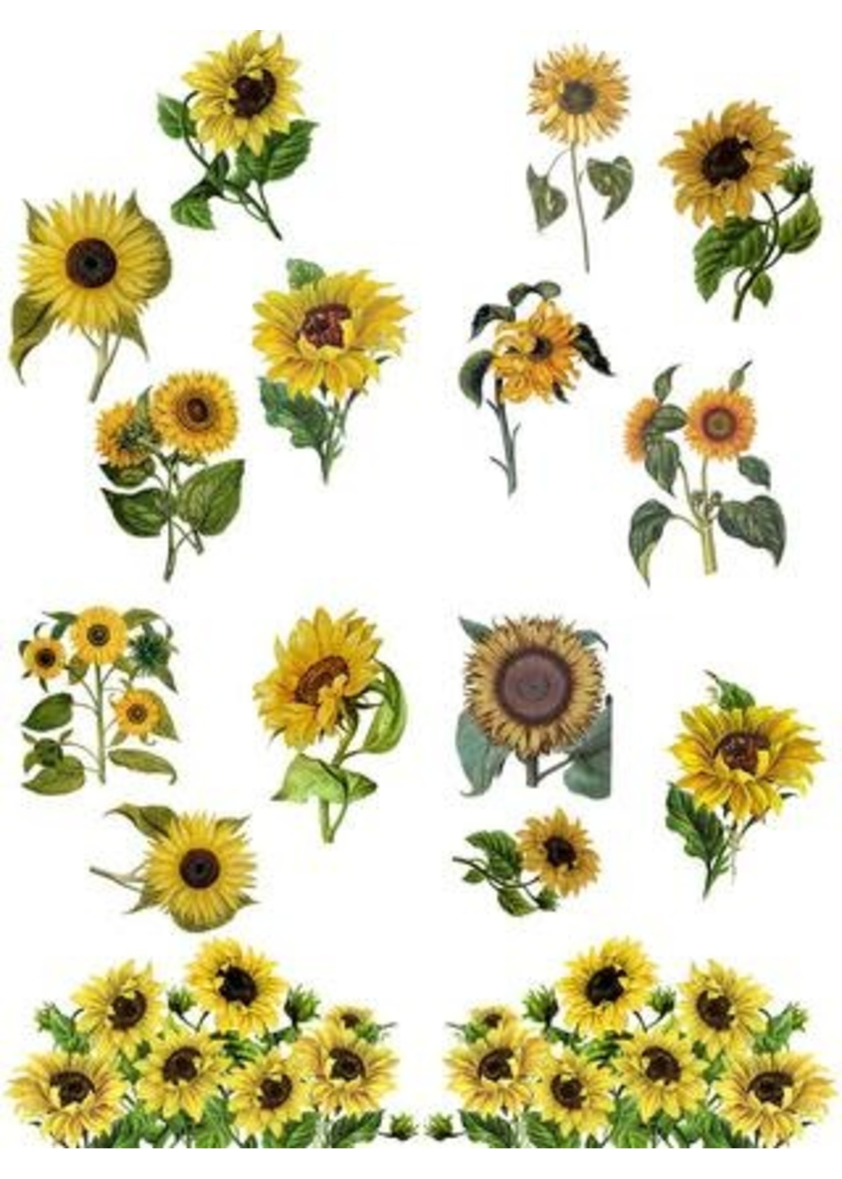 Dixie Belle Decoupage & Stencils Sunflowers