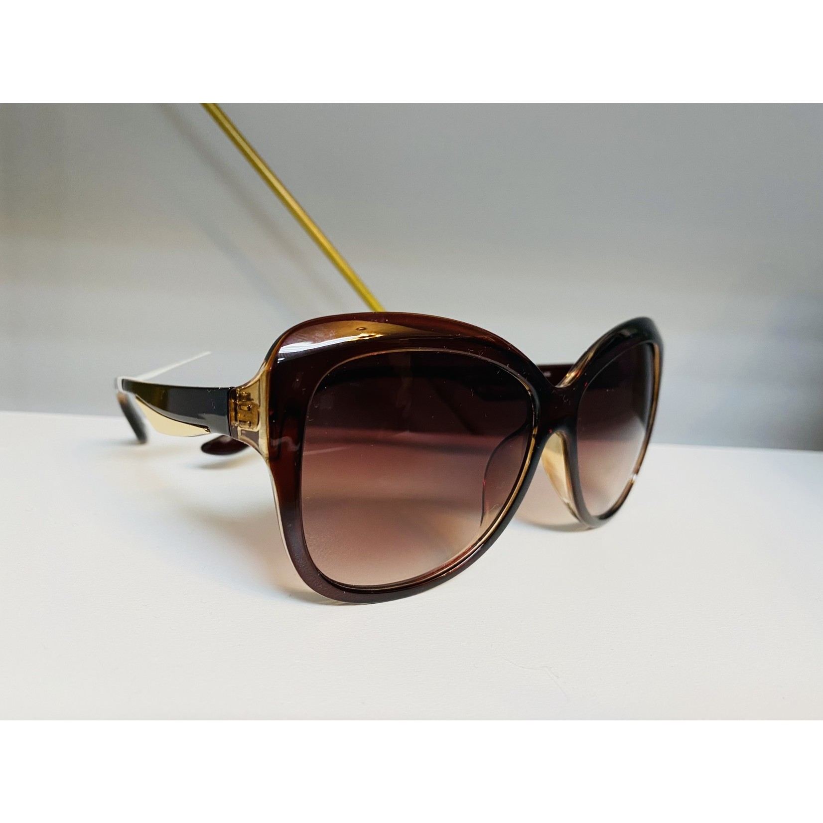 Hatcher Sunglasses With Gold Accent