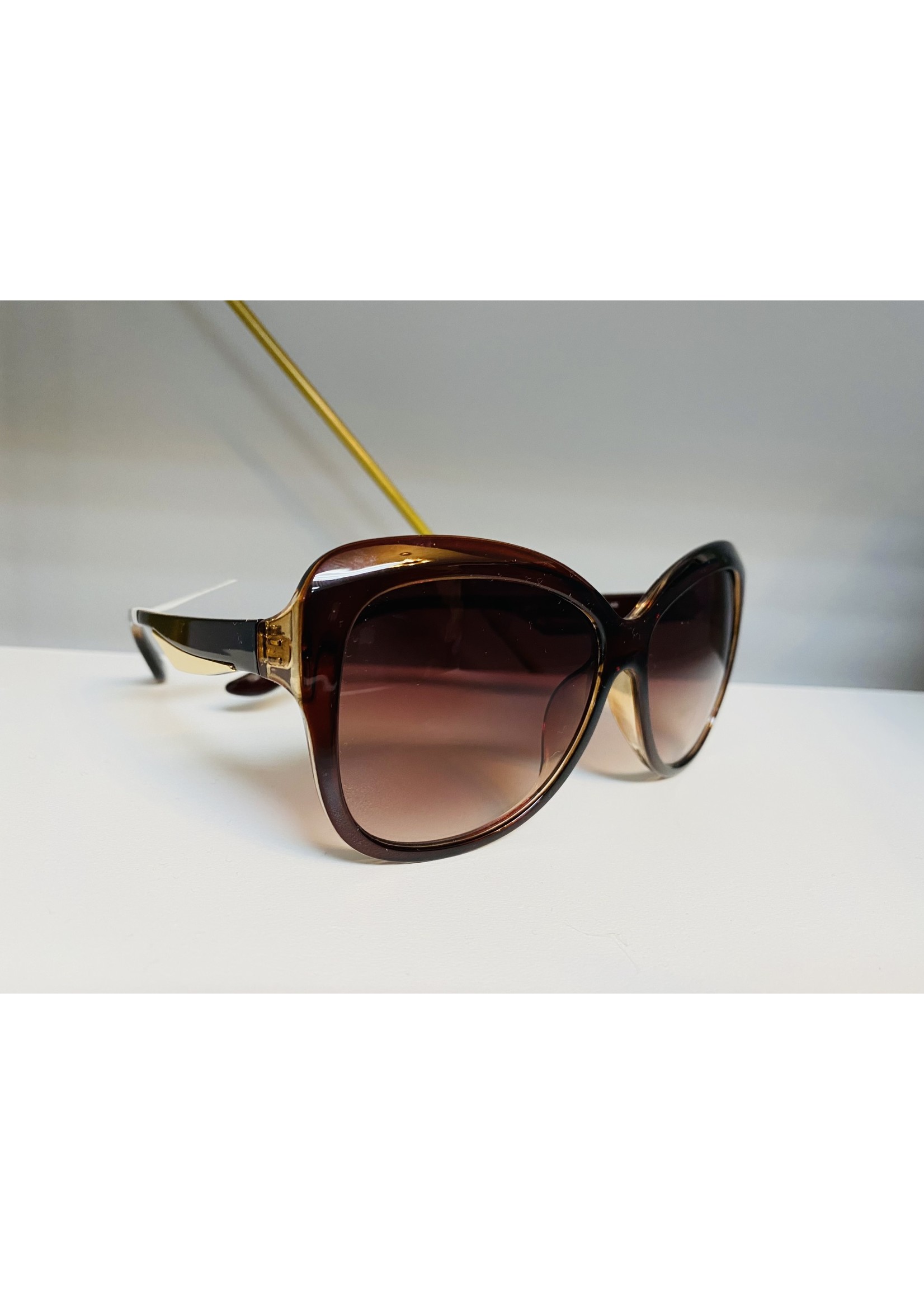 Hatcher Sunglasses With Gold Accent