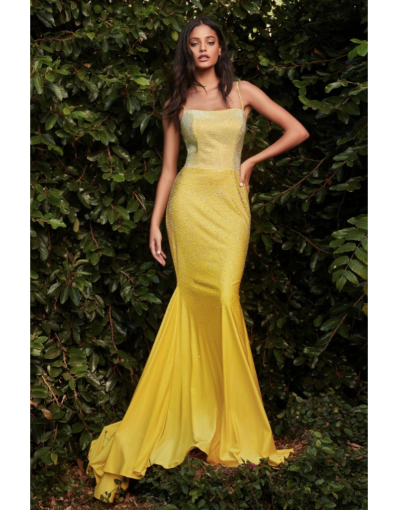 Spaghetti strap beaded fitted jersey gown CD0179