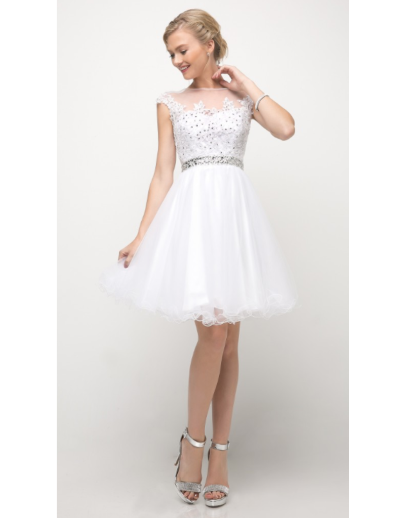 Beaded lace high neck short gown with a tulle skirt
