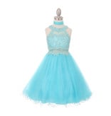Lace Bodice High neck  Short Tulle Skirt CC5040X