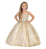 Cap sleeve embroidered bodice glitter tulle ballgown K713