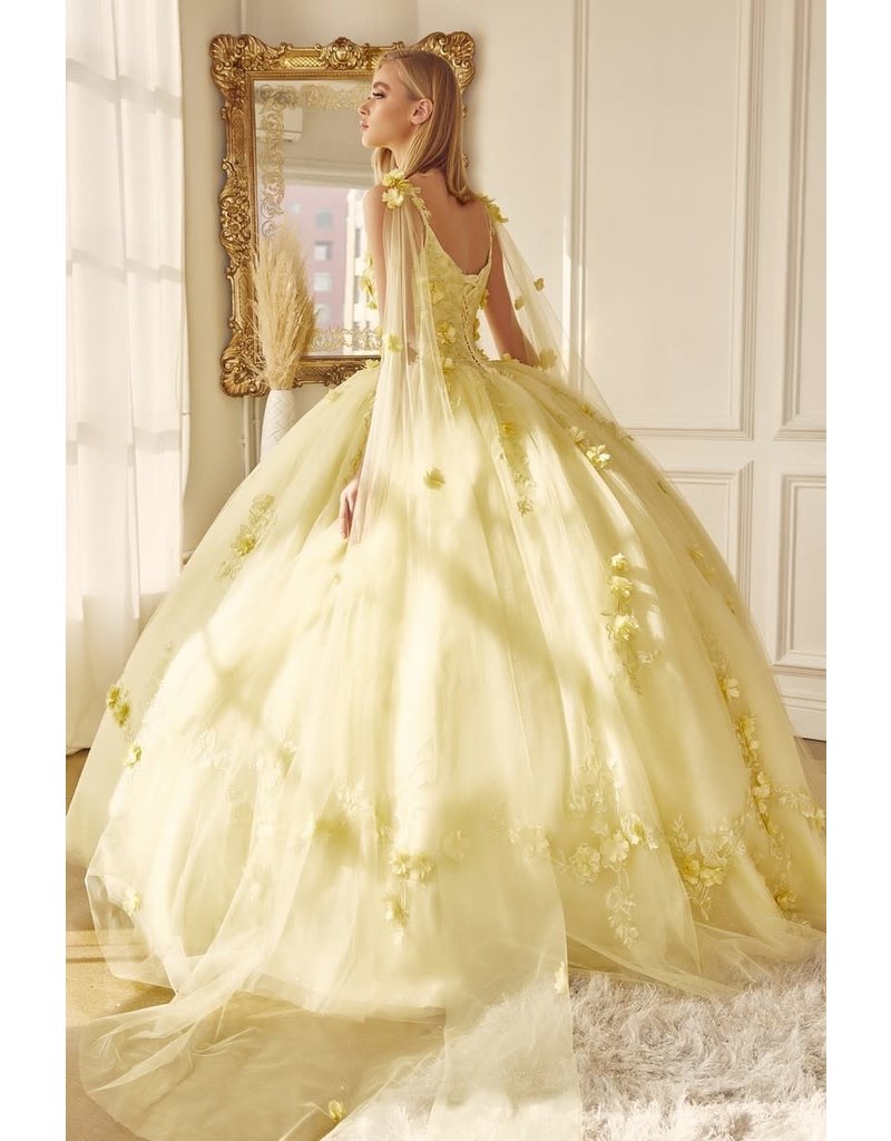 3D Lace tulle cape sleeve ballgown 1436