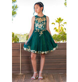 High neck gold embroidered tulle short gown 5121