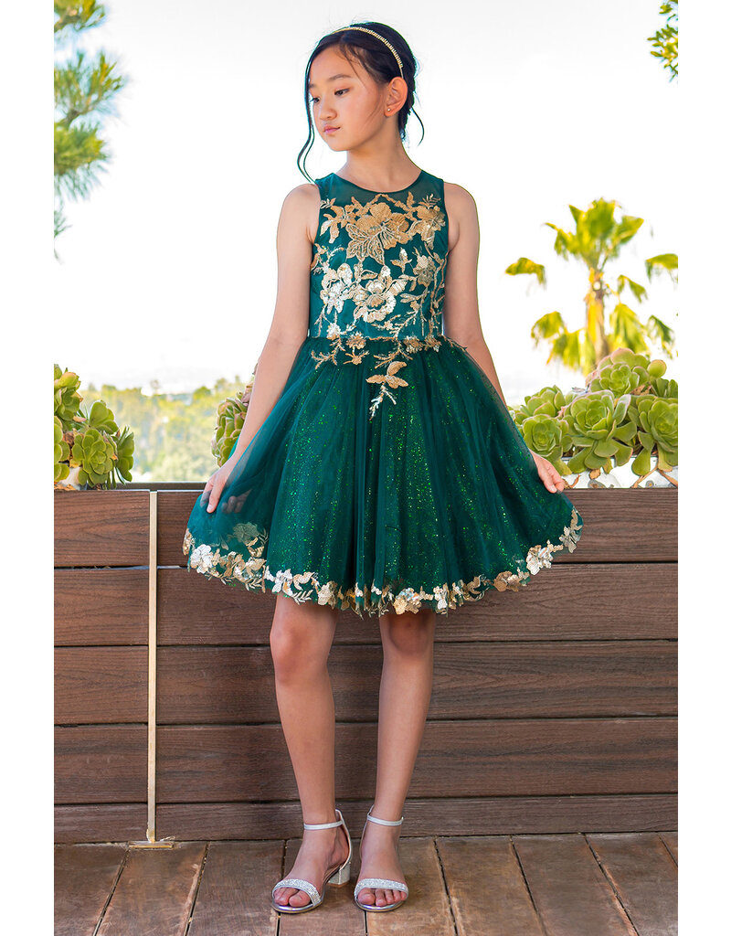 High neck gold embroidered tulle short gown 5121