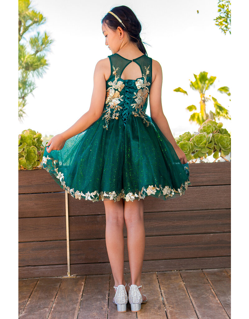 High neck gold embroidered tulle short gown 5121