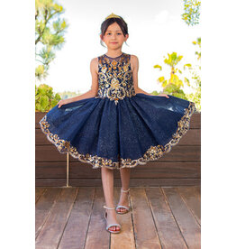Illusion top lace tulle dress 5124