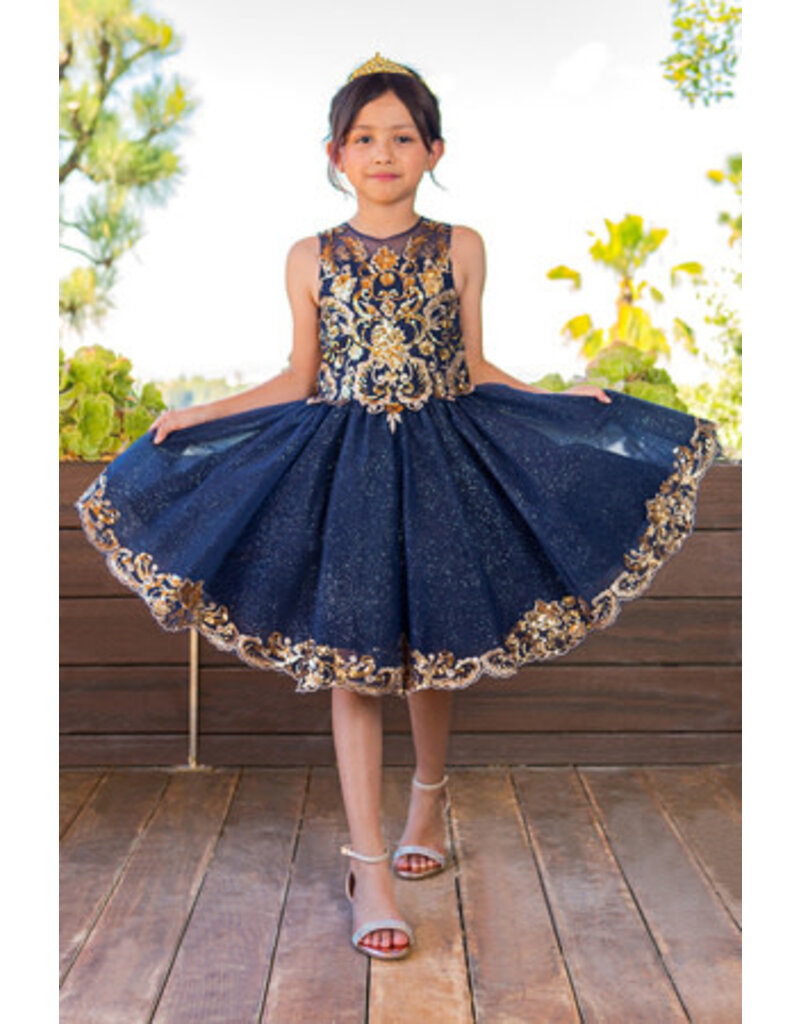Illusion top lace tulle dress 5124