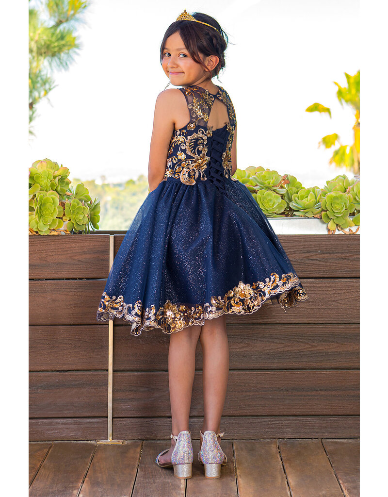 Illusion top lace tulle dress 5124