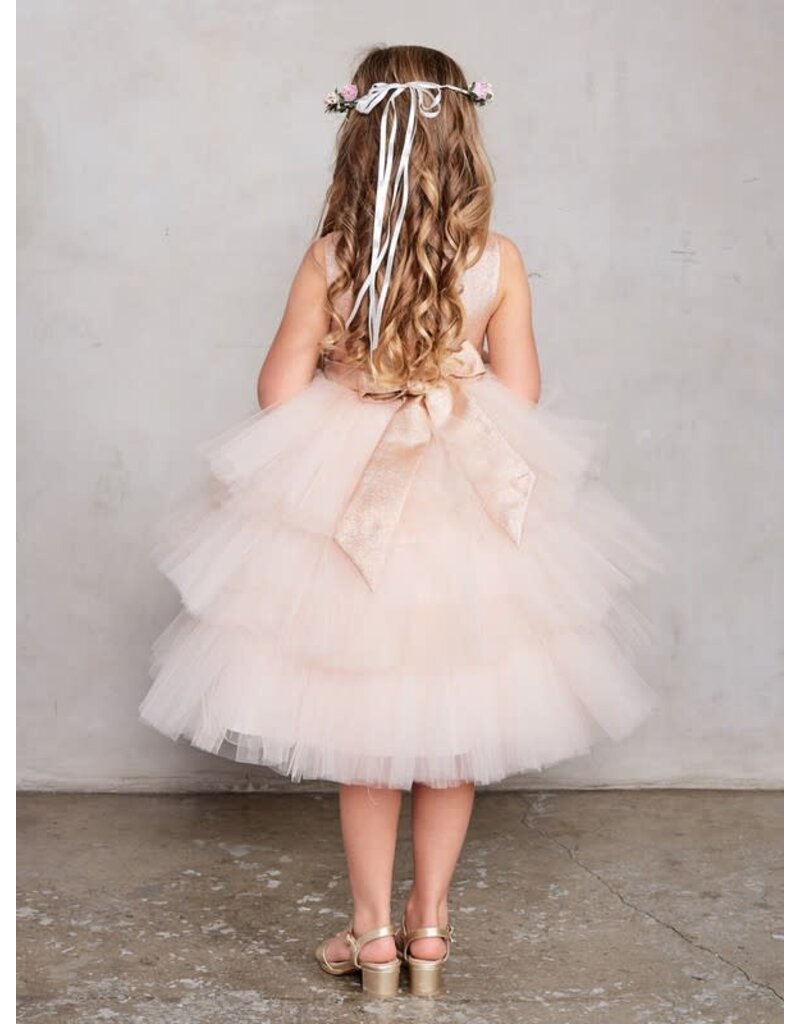 TIP TOP KIDS Metallic Glitter Bodice, Layered Ruffle Skirt, 5790