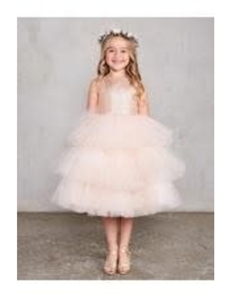 TIP TOP KIDS Metallic Glitter Bodice, Layered Ruffle Skirt, 5790