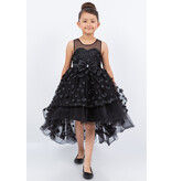 HI-LOW, SHEER NECK, BOW 9170