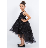 HI-LOW, SHEER NECK, BOW 9170