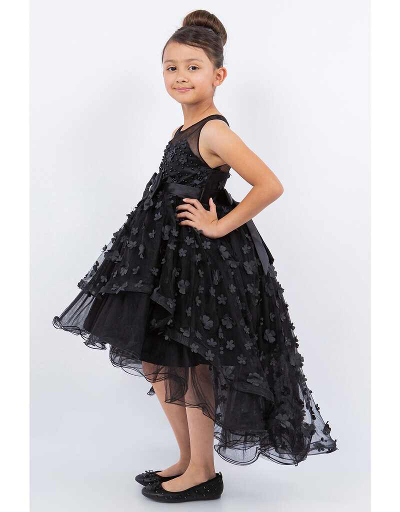 HI-LOW, SHEER NECK, BOW 9170