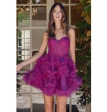 Tulle corset bodice w/ruffle skirt Y859