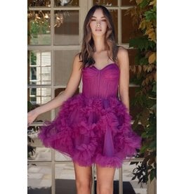 Tulle corset bodice w/ruffle skirt Y859