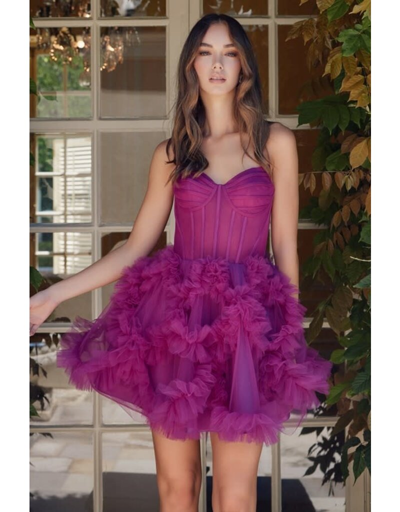 Tulle corset bodice w/ruffle skirt Y859