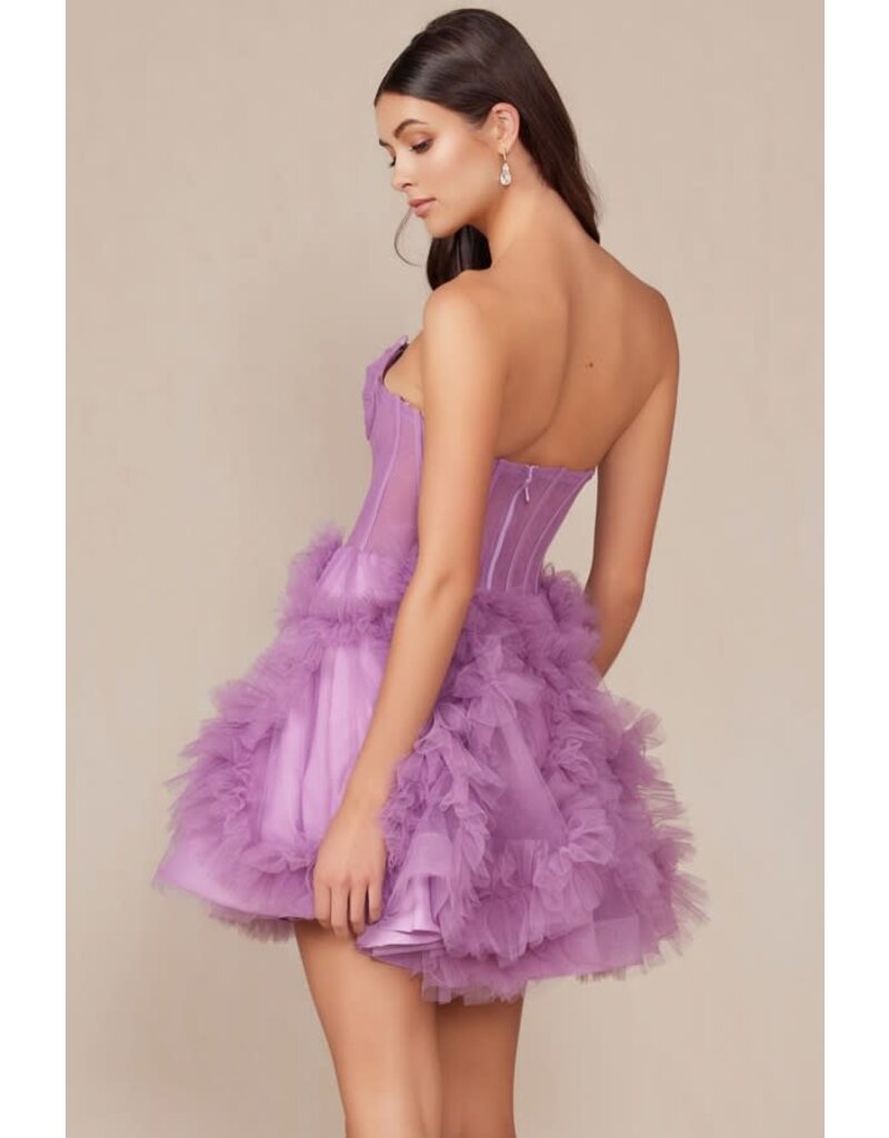 Tulle corset bodice w/ruffle skirt Y859